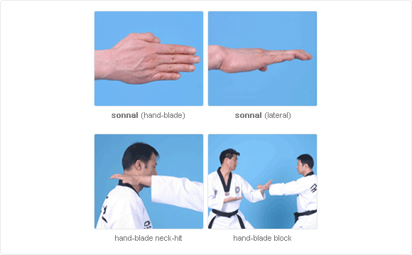 FIST STRENGTHENER Hands Knuckles Trainer Exerciser Karate TKD Martial Arts Small 